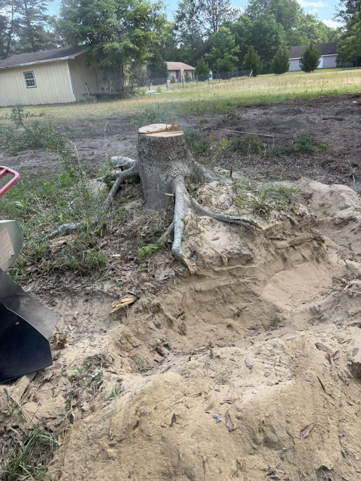 Professional Stump Grinding Services You Can Trust |Ozark AL